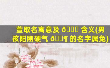 萱取名寓意及 🐎 含义(男孩阳刚硬气 🐶 的名字属兔)